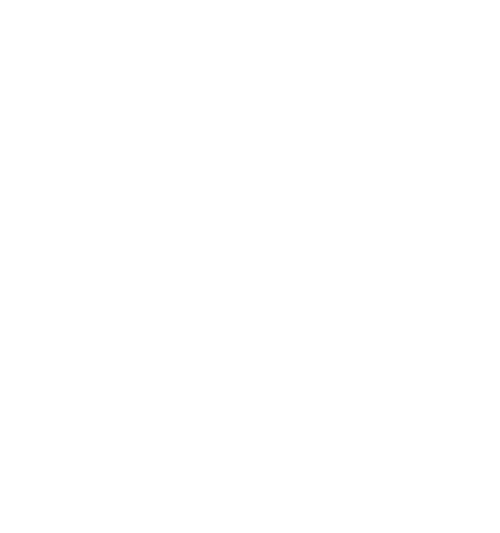 Behaviour Validator