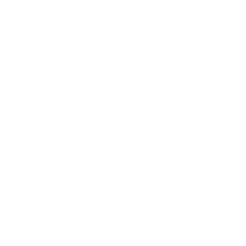Team Developer